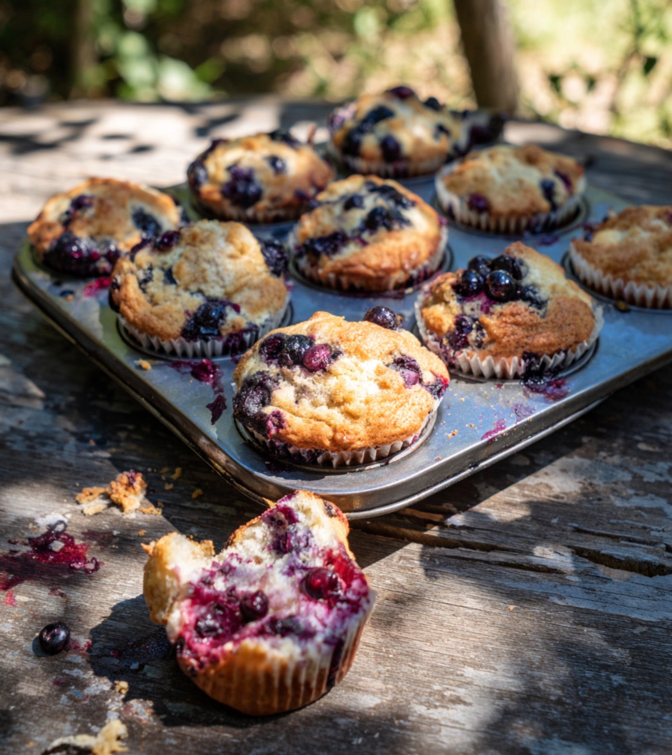 Blueberry Muffins