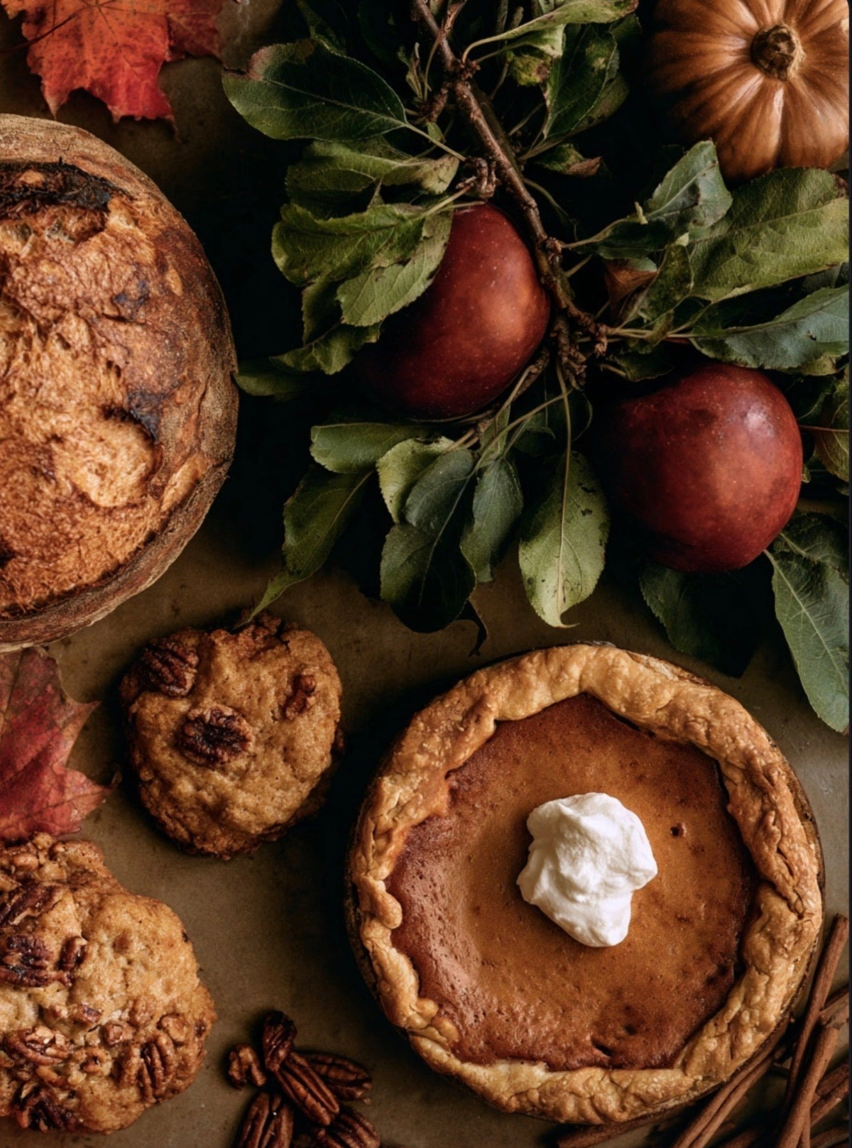 Fall Favorites