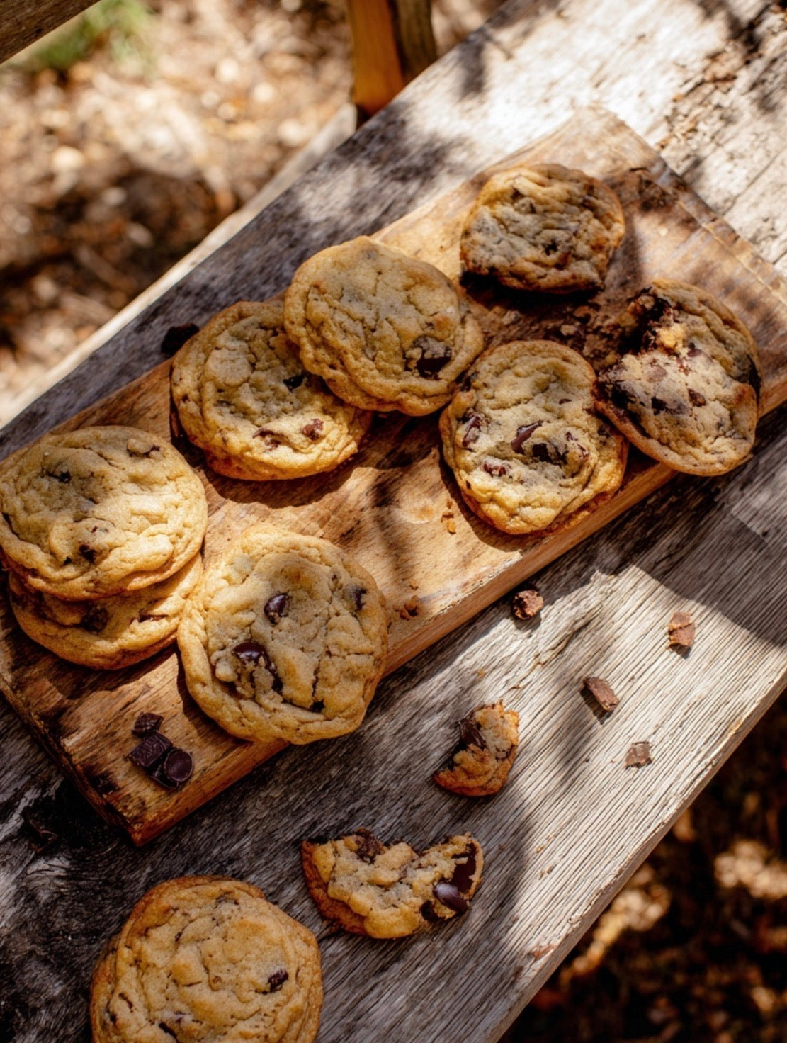 Chocolate Chip Cookie Dough