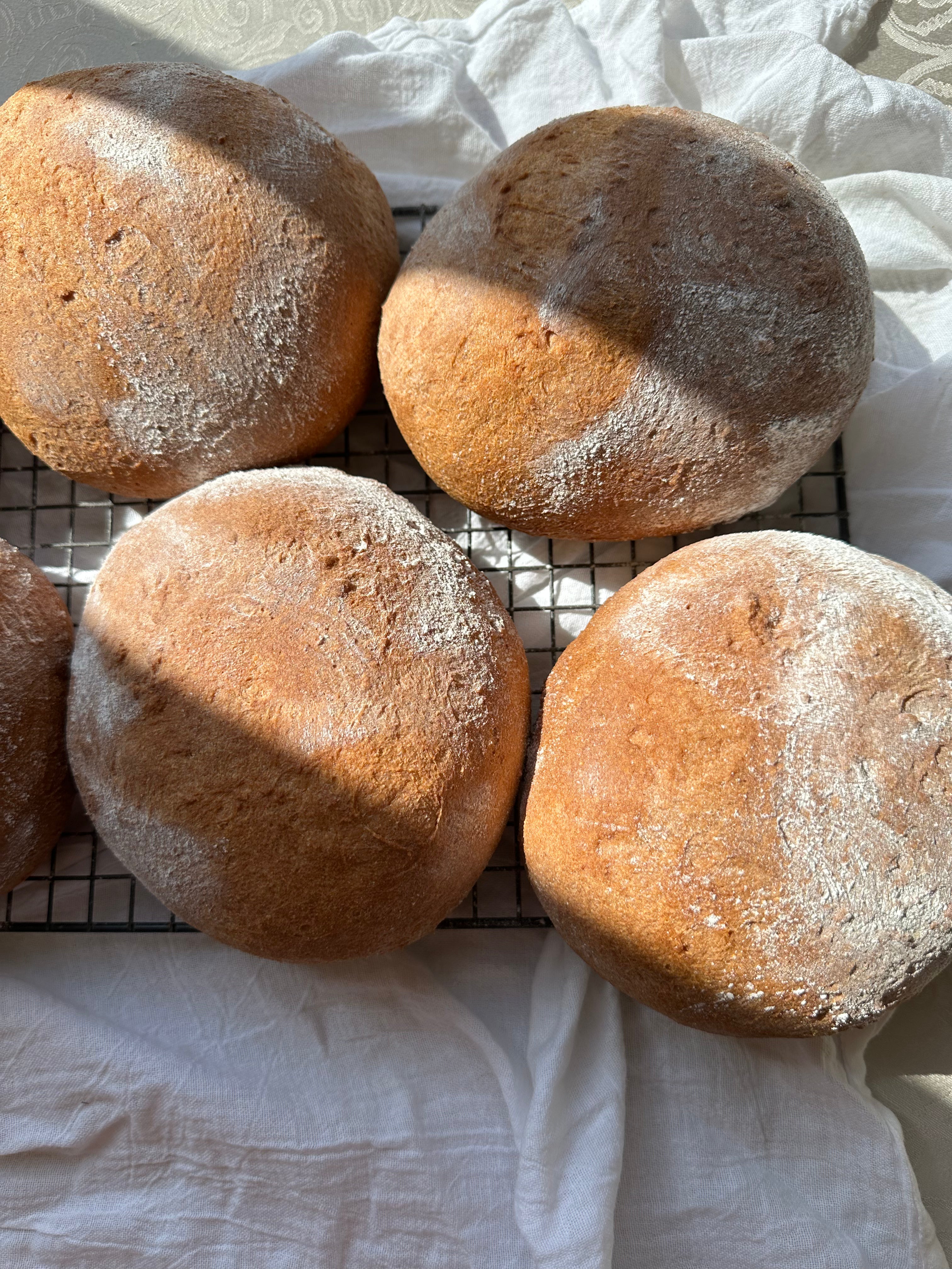 Country White Boule (Set of 2)