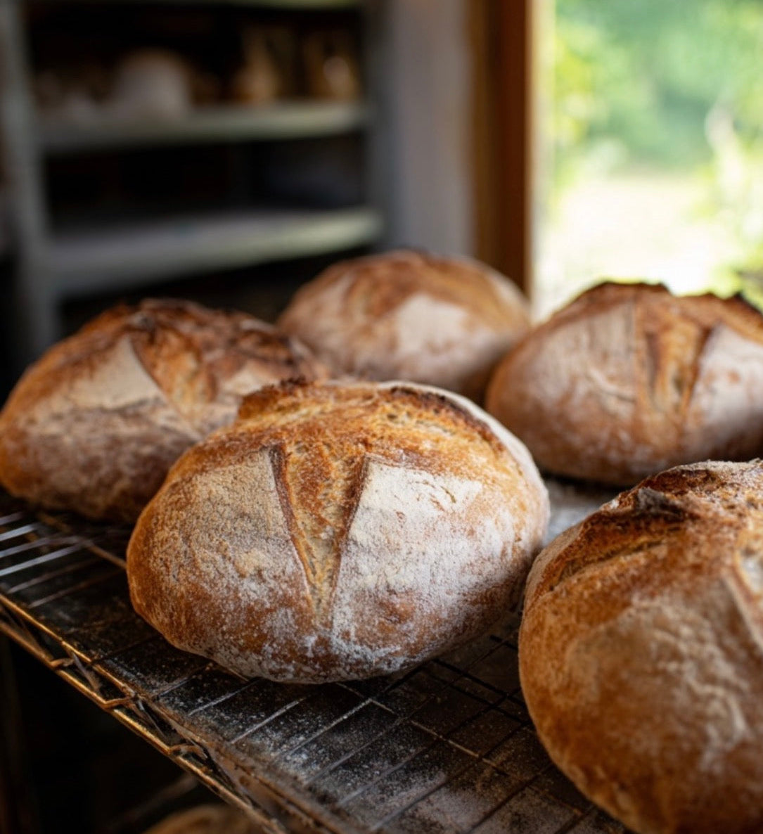 Rustic Sourdough Boule (Set of 2)